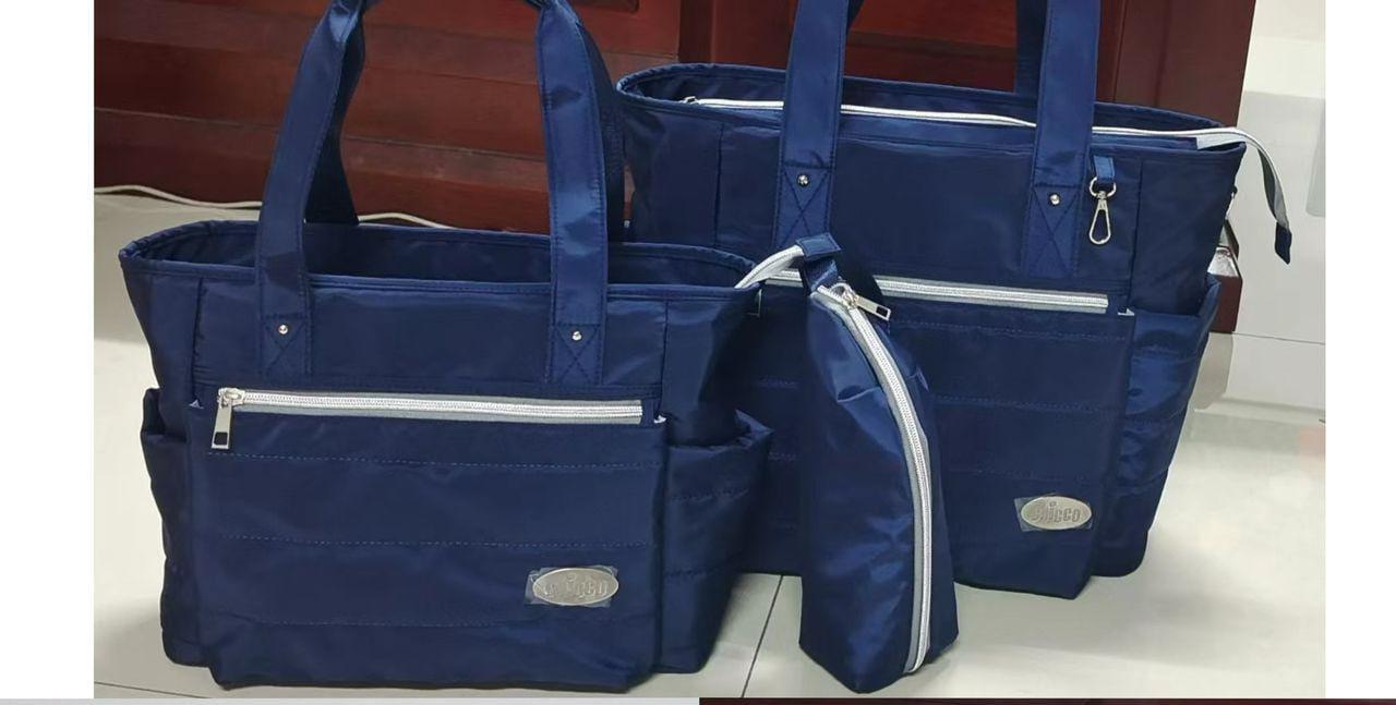 4 in 1 chicco diaper bag
