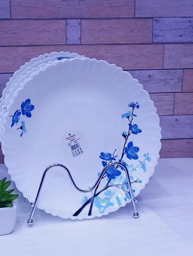 High Quality 6 Piece 9.5 inch Classique Dinner Dish Plates