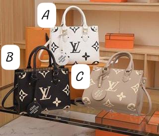 Louis Vuitton bag Paris