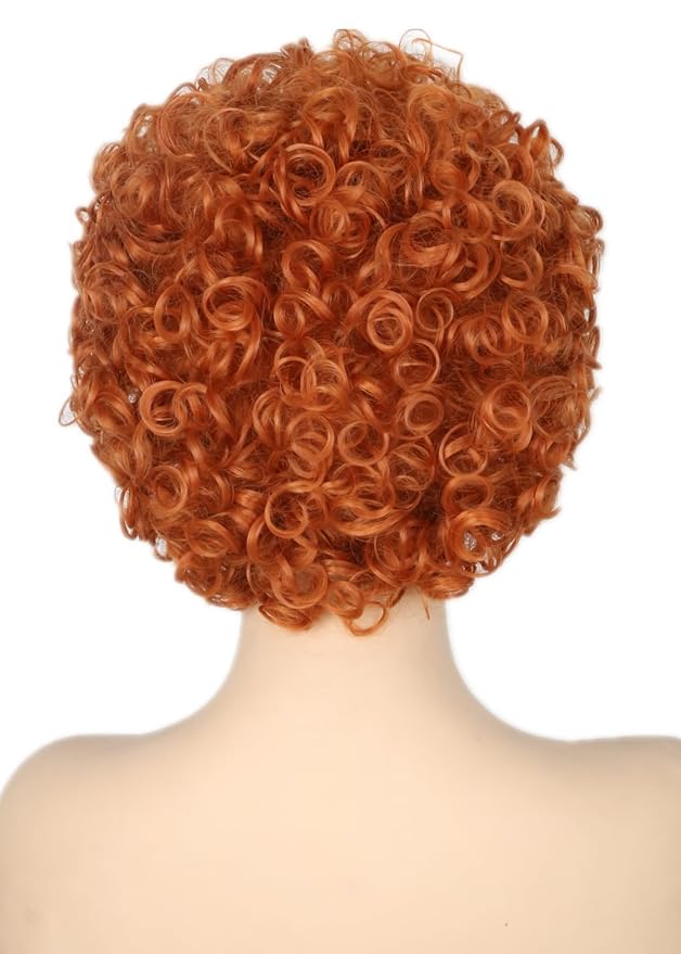 Unisex Reddish Brown Short Curly Afro Wig Halloween