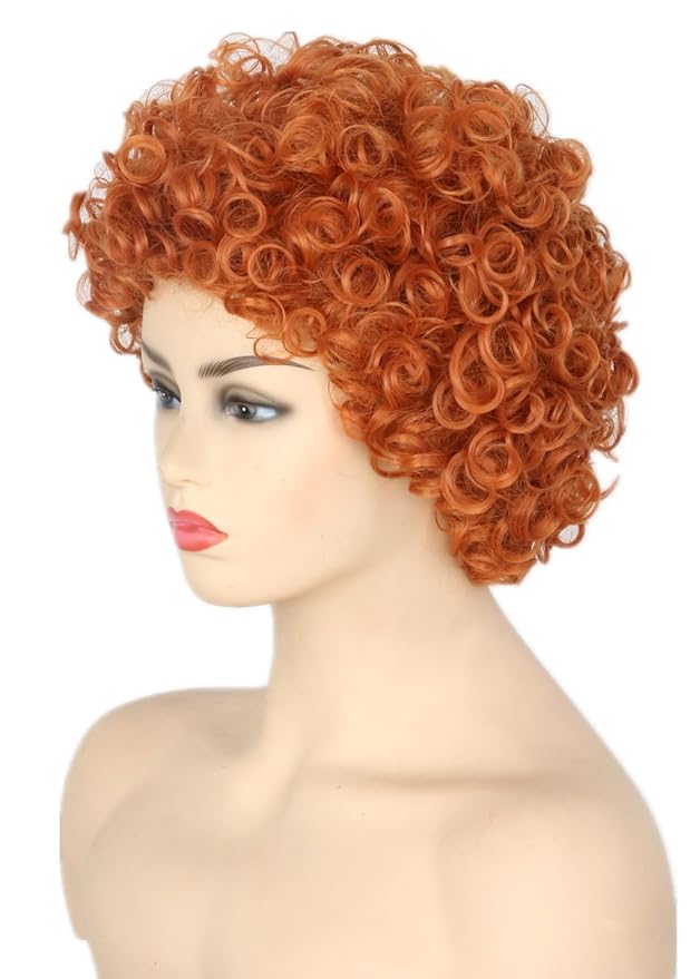 Unisex Reddish Brown Short Curly Afro Wig Halloween