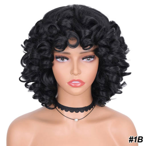Short Hair Afro Kinky Curly Wigs With Bangs For Black Women Fluffy Synthetic African Ombre Glueless Cosplay Natural Brown Wigs S 1B# 14inches
