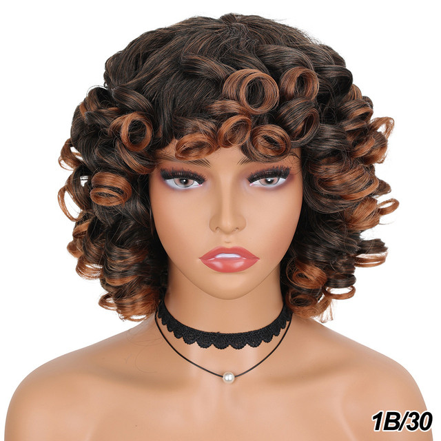 Short Hair Afro Kinky Curly Wigs With Bangs For Black Women Fluffy Synthetic African Ombre Glueless Cosplay Natural Brown Wigs S 1B# 14inches