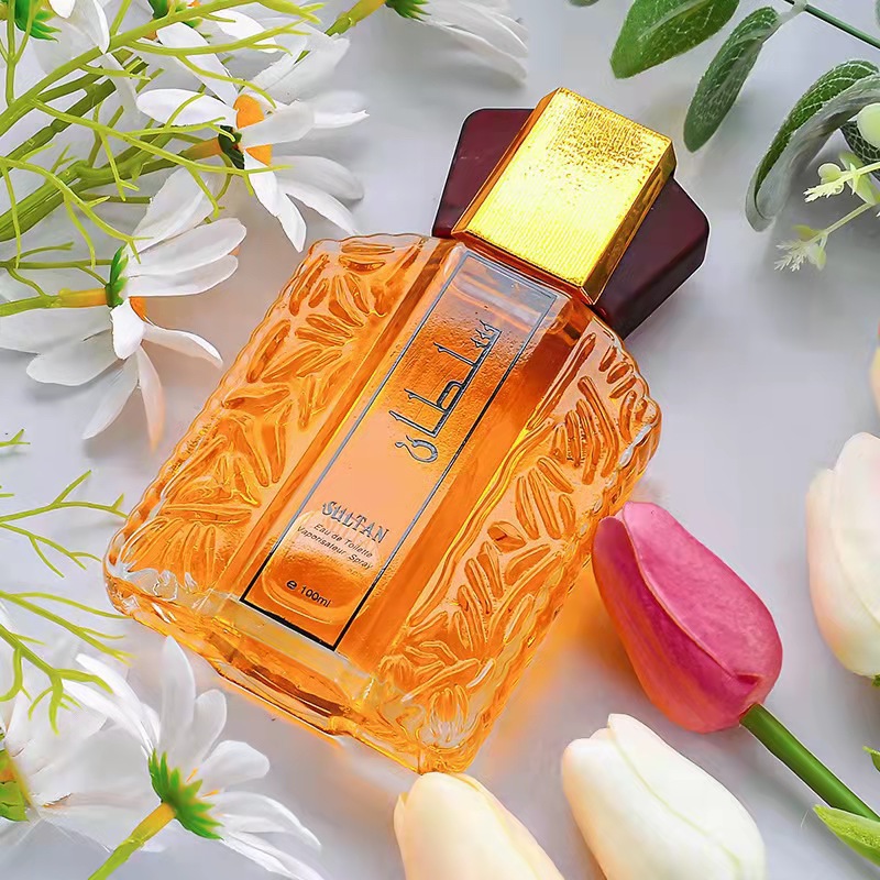 Cross-border hot sale Perfum Arabian perfume for men(100ml) Oriental woody 100ml [分类版本1]