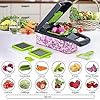 16-Piece Kitchen Vegetable Chopper High-Performance Mandoline Vegetable Slicer & Dicer with Stainless Steel Blades-Peeler-Hand Guard and Brushes|Veg,Salad Complete Food Cutter Set