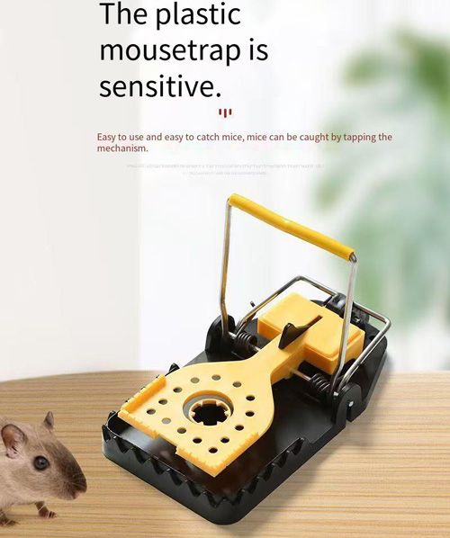 2PCS Medium Plastic Rat Trap Catching Mice Alive In A Cage Multi Type Pedal Type Reusable Mouse Catcher Indoor Outdoor Rat Trap