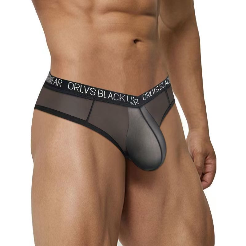 Mini Thong Men Sexy Panties Low Waist T-Back Underwear Bikini Briefs Ultra Thin Lingerie hombre Underpants