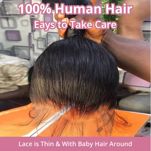 360 HD Lace Front Wig Vietnam Human Hair Wigs 99J Red Brown T1b/99j Burgundy Colored HD Transparent Pre Plucked Lace Frontal 12A Grade Human Hair Wigs Straight