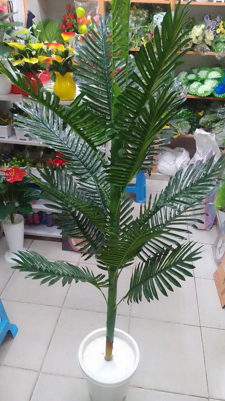 Plant BIG ARTIFICIAL PALM IN PLASTIC VASE WITH PEBBLE STONES   add a luxurious touch to your interior setting and the same time, it is a zero maintenance.They are also a perfect gift for your friends