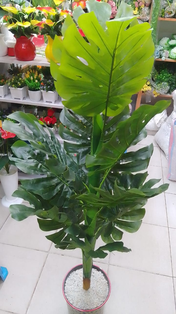 ARTIFICIAL/FAUX GREEN HOME DECOR MONSTERA PLANT  GARDENING OPTIONS/POTTED PLANT/LIVING ROOM/BEDROOM DECOR WITH WHITE PLASTIC VASE   So beautiful artificial flowers, looks real-like, bring more romanti