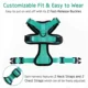 Cat Harness and Leash for Walking,Escape Proof Soft Adjustable Vest Harnesses for Cat,Breathable Reflective Strips Jacket