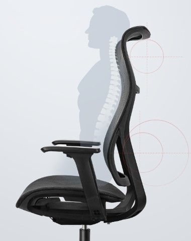 (EXCLUSIVE OFFER)DELI-Office Furniture DELI 91004 EXECUTIVE HIGHBACK ERGONOMIC MESH OFFICE CHAIR WITH HEAD-REST Adjustable Headrest T-Shaped Armrests