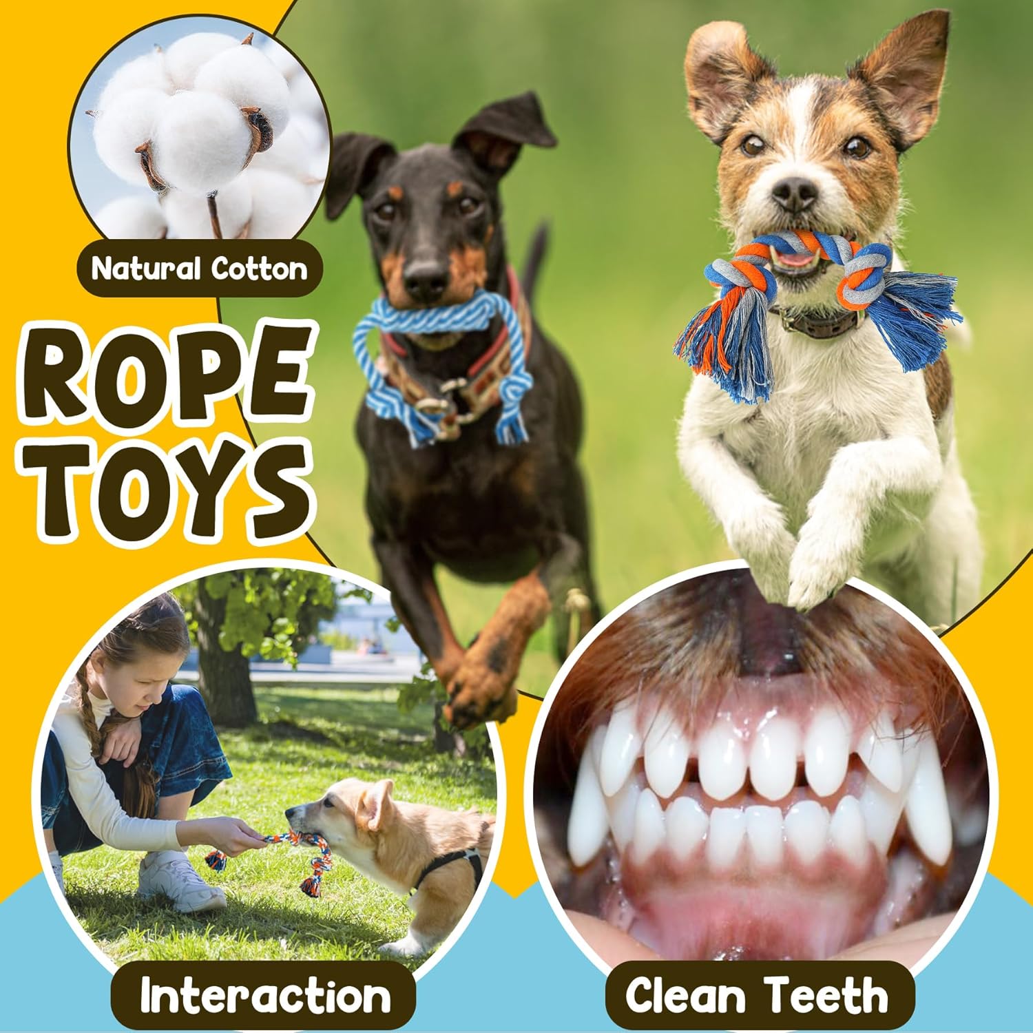 9 Pack Luxury Puppy Toys for Teething Small Dogs, Puppy Chew Toys with Cute Squeaky Dog Toys, Ball and More Rope Dog Chew Toys colorful 9 pcs/set