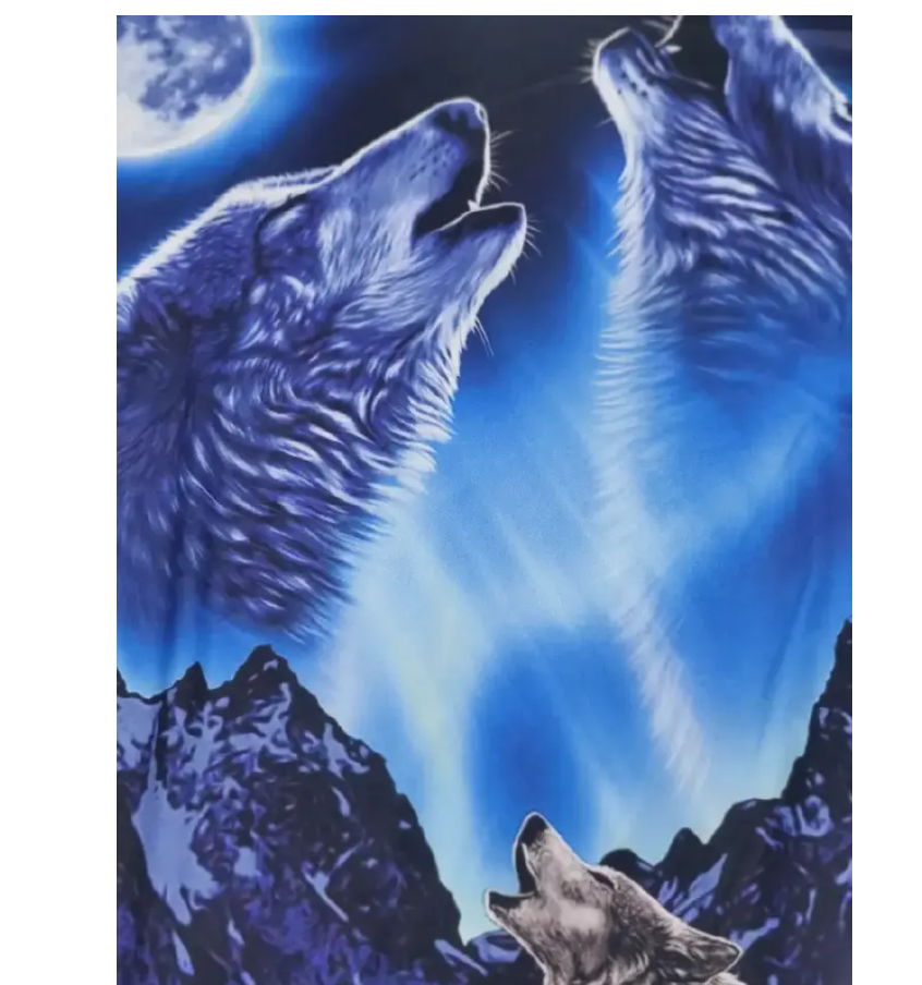 Premium 3D Printed Wolves Men's Novelty Graphic T Shirt Short Sleeve Tees Tops For Street Casual Daily 01 S