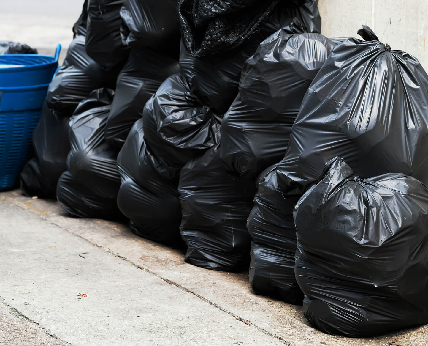 Extra Large Garbage Bags (150 Pcs) – Big Size Ultra Durable Trash Bags for Household, Office, and Commercial Disposal