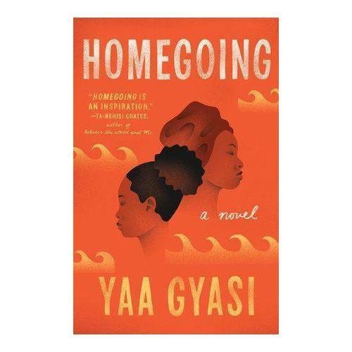 Homegoing Novel By Yaa Gyasi