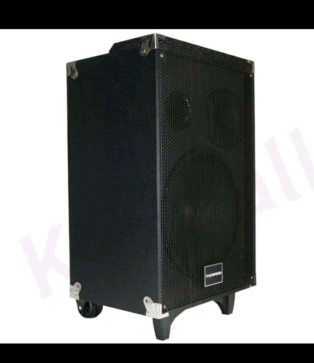 TAGWOOD LTS-10A OUTDOOR TROLLEY SPEAKER WITH ONE FREE WIRELESS MICROPHONE,USB,FM RADIO 9800W PMPO