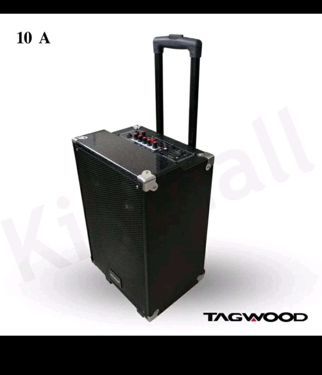TAGWOOD LTS-10A OUTDOOR TROLLEY SPEAKER WITH ONE FREE WIRELESS MICROPHONE,USB,FM RADIO 9800W PMPO