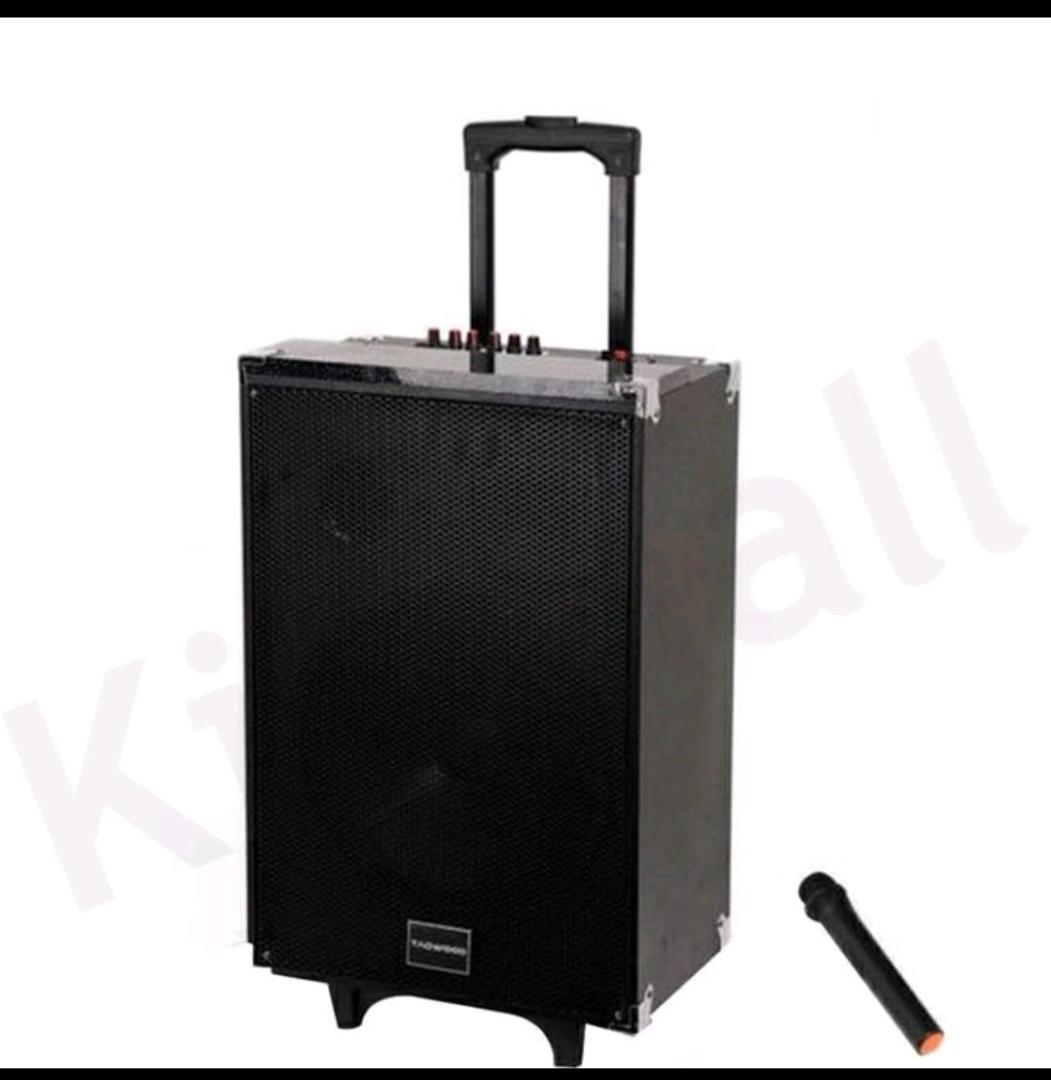 TAGWOOD LTS-12A 12000W PORTABLE TROLLEY SPEAKER WITH ONE FREE WIRELESS MICROPHONE, BLUETOOTH,FM RADIO,USB