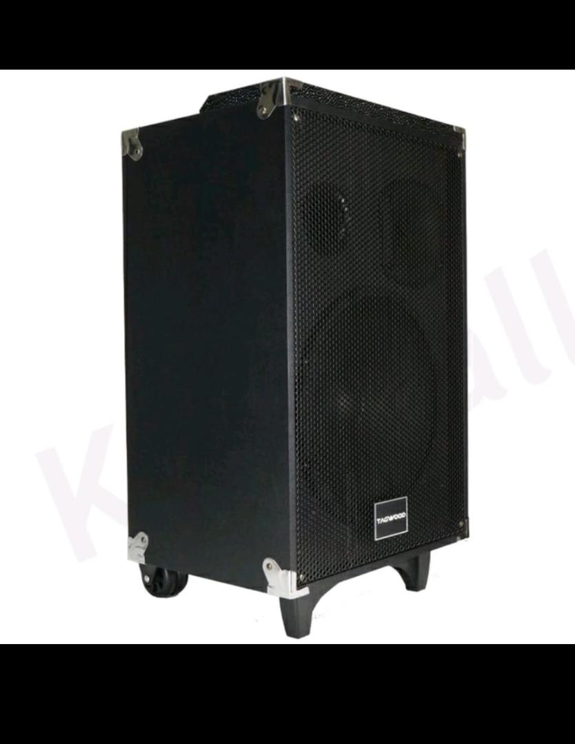 TAGWOOD LTS-12A 12000W PORTABLE TROLLEY SPEAKER WITH ONE FREE WIRELESS MICROPHONE, BLUETOOTH,FM RADIO,USB
