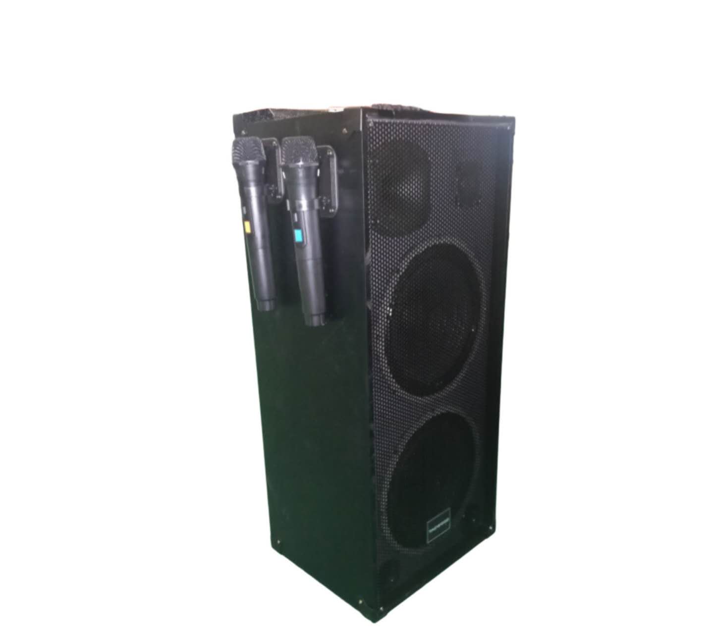NEW TAGWOOD LTS-10B PORTABLE OUTDOOR TROLLEY SPEAKER WITH TWO FREE WIRELESS MICROPHONES,IN-BUILT BATTERY.