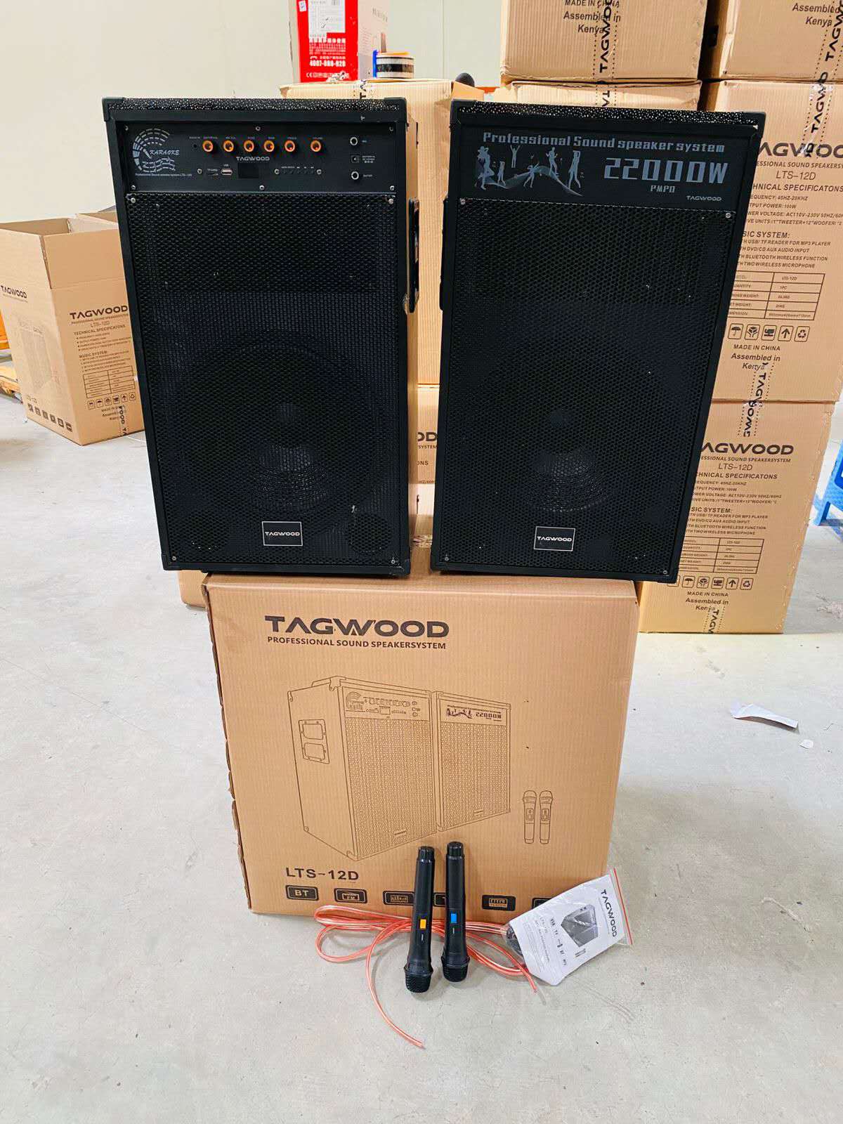 NEW TAGWOOD LTS-12D OUTDOOR SPEAKER WITH FM/BLUETOOTH.HAS TWO WIRELESS MICROPHONES
