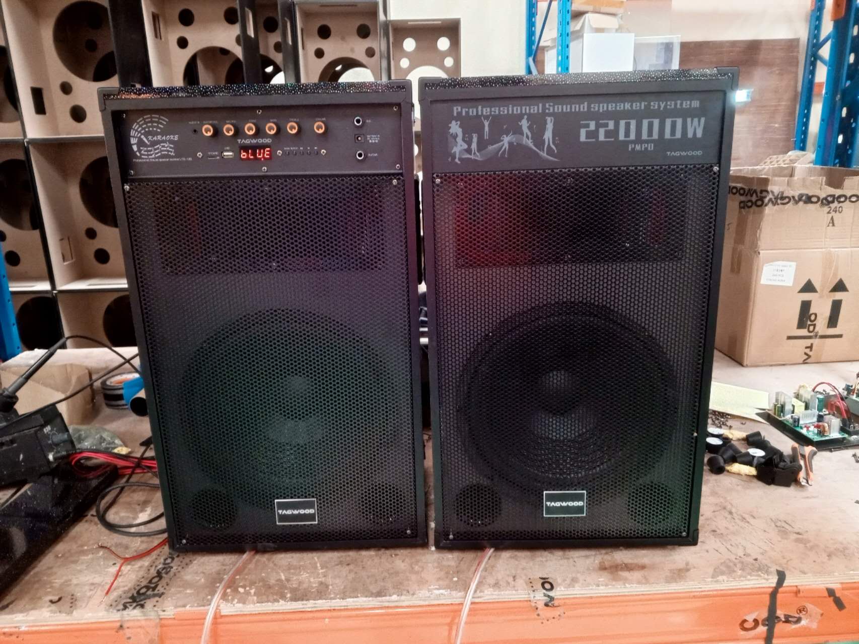 NEW TAGWOOD LTS-12D OUTDOOR SPEAKER WITH FM/BLUETOOTH.HAS TWO WIRELESS MICROPHONES