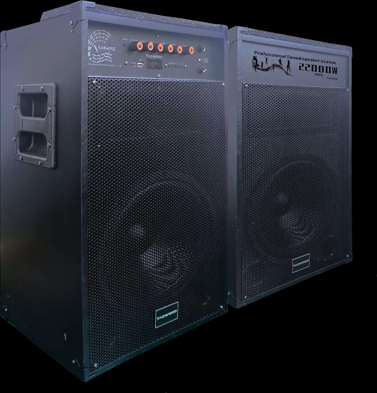 NEW TAGWOOD LTS-12D OUTDOOR SPEAKER WITH FM/BLUETOOTH.HAS TWO WIRELESS MICROPHONES
