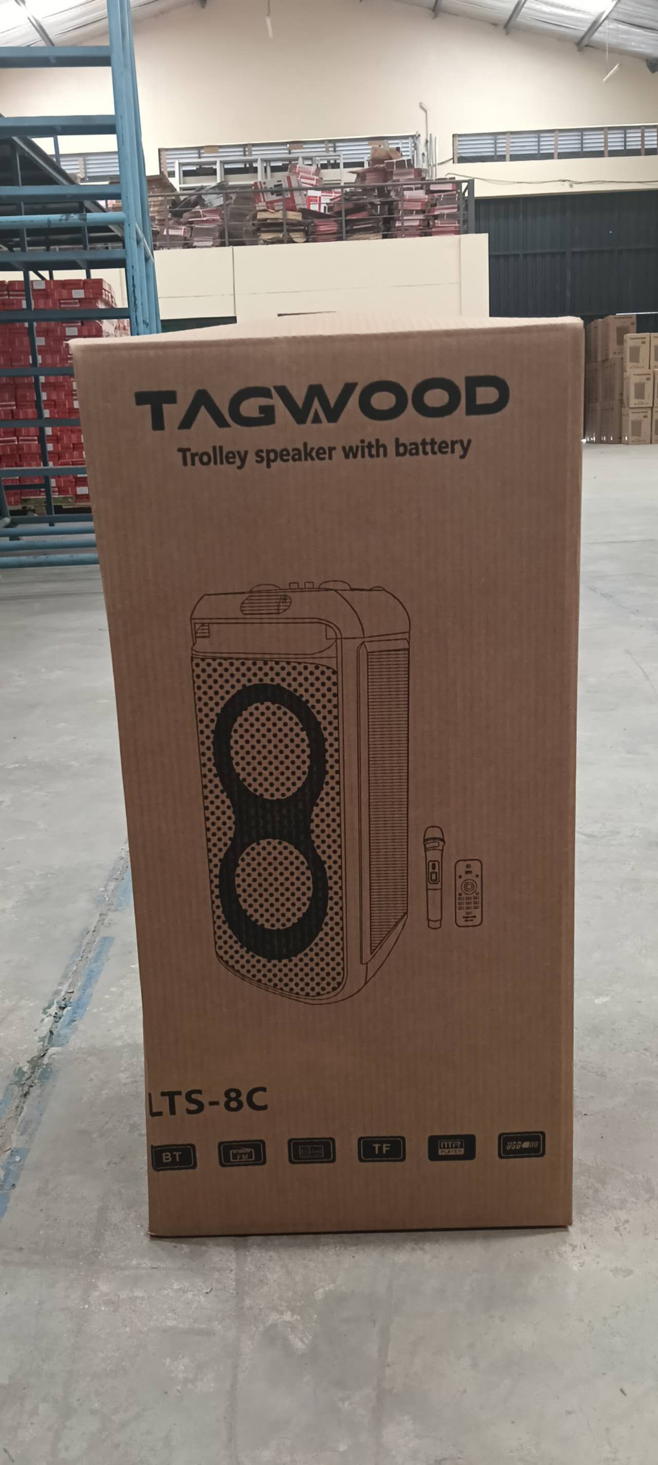 NEW TAGWOOD LTS-8C PORTABLE  BEAT BOX  RECHARGEABLE WITH USB/FM/BLUETOOTH . HAS ONE FREE WIRELESS MICROPHONE.