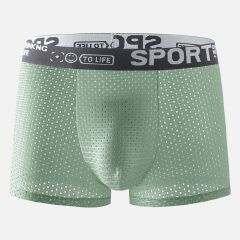 4-piece men underwear men's ice silk mesh comfortable and breathable boxers briefs shorts boxer Thin & Cool For Summer man clothes