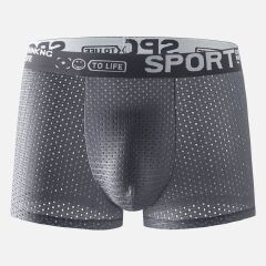 4-piece men underwear men's ice silk mesh comfortable and breathable boxers briefs shorts boxer Thin & Cool For Summer man clothes