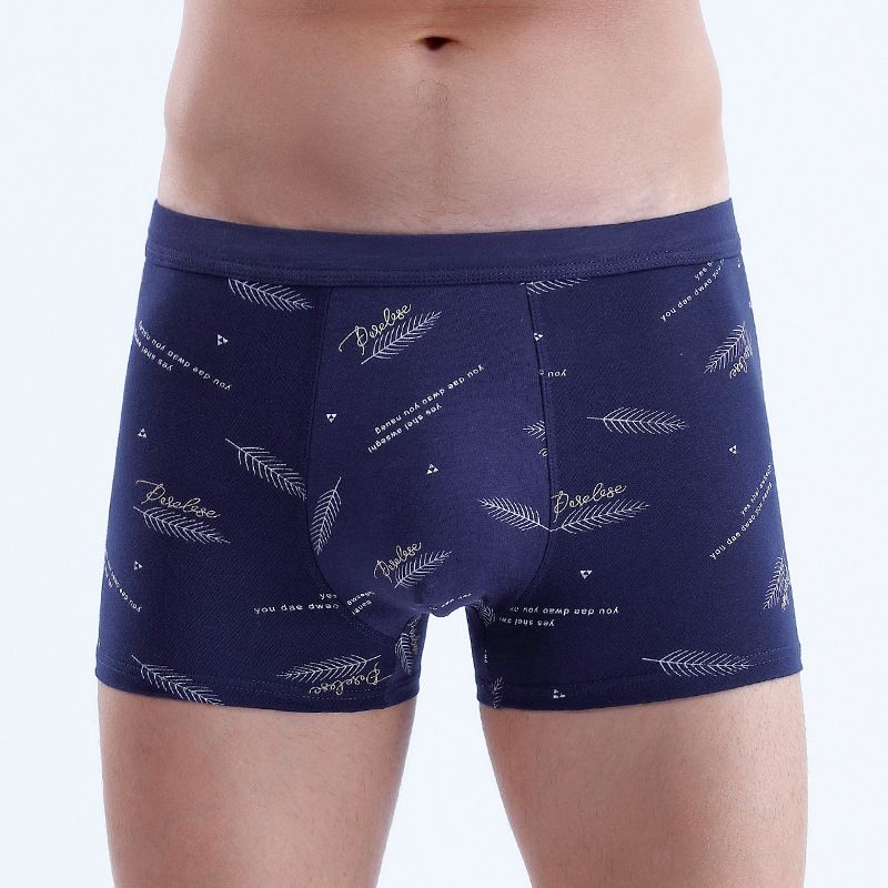 4PC Men's Boxer Briefs Cotton underwear Trend Antibacterial Breathable and Youth shorts Underwear Men's Clothes Youth shorts Underwear