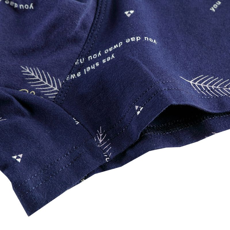 4PC Men's Boxer Briefs Cotton underwear Trend Antibacterial Breathable and Youth shorts Underwear Men's Clothes Youth shorts Underwear