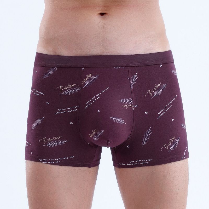 4PC Men's Boxer Briefs Cotton underwear Trend Antibacterial Breathable and Youth shorts Underwear Men's Clothes Youth shorts Underwear