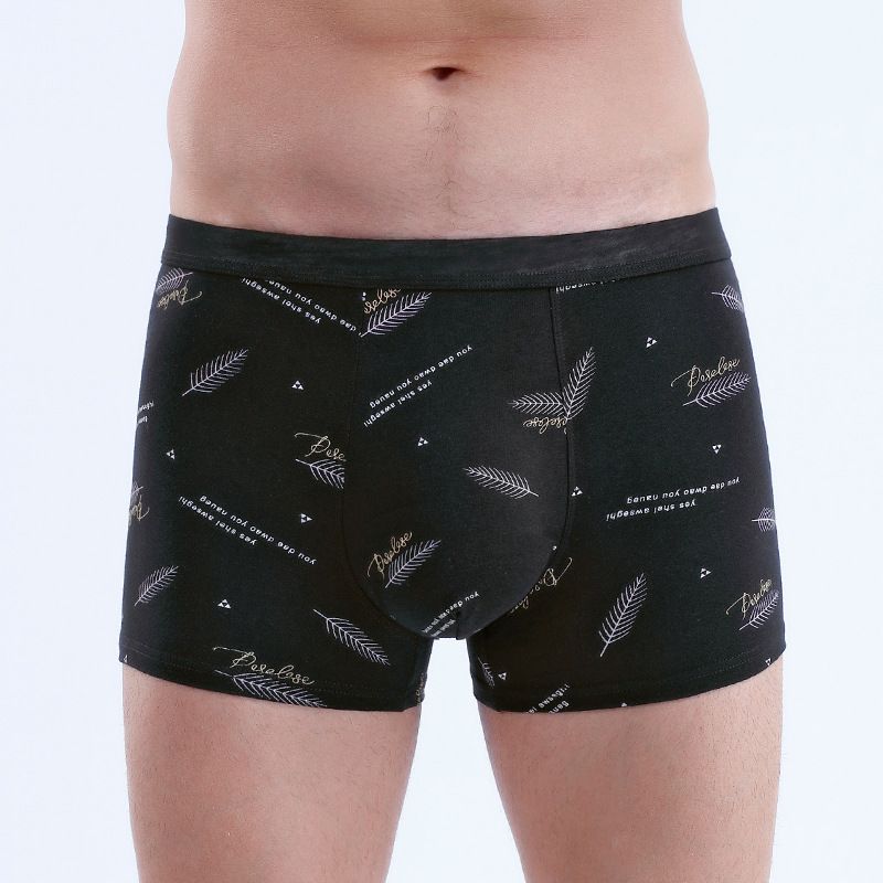 4PC Men's Boxer Briefs Cotton underwear Trend Antibacterial Breathable and Youth shorts Underwear Men's Clothes Youth shorts Underwear