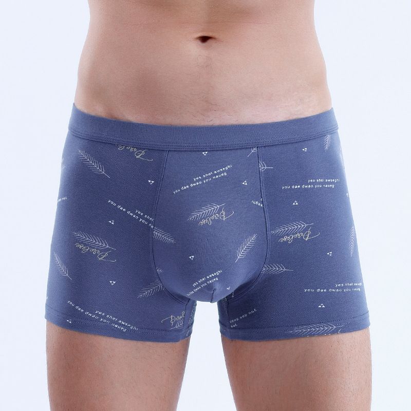 4PC Men's Boxer Briefs Cotton underwear Trend Antibacterial Breathable and Youth shorts Underwear Men's Clothes Youth shorts Underwear