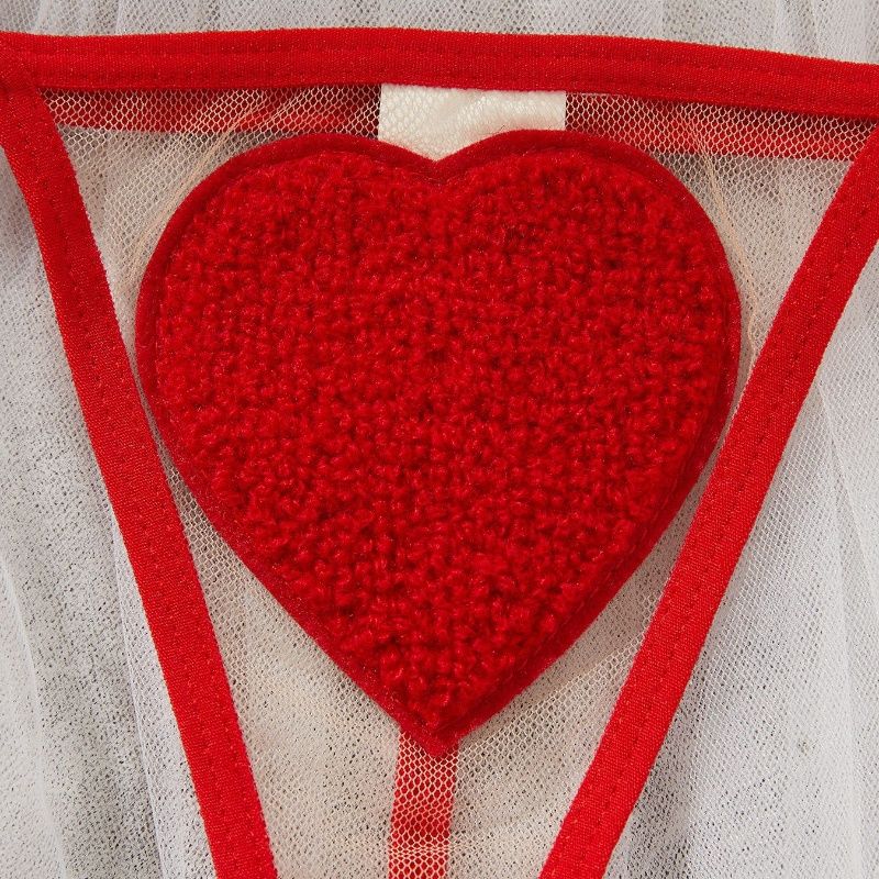 2PC/Set New Valentine's Day multi-color erotic lingerie sexy mesh see-through love heart suspender belt temptation thong Sexy Erotic Lingerie for Women Sexy see-through love heart mesh Sexy Body Suit
