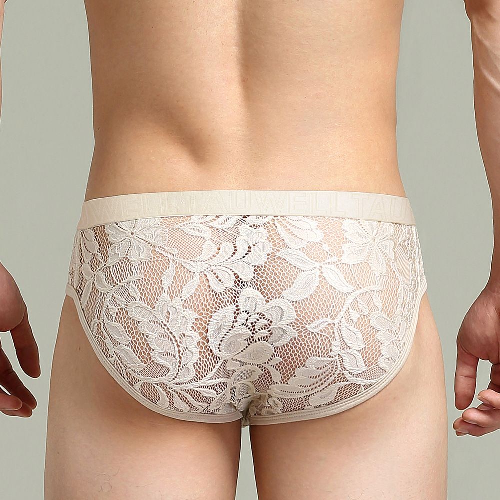 2PCS Mens Lace Panties Sexy Sissy Underwear Lingerie Low Rise Underpants Transparent Lace Briefs Men See Through Sexy Lace Panties Male Transparent Underpants Plus Size Solid Color Men Underwear
