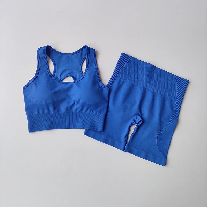 2 PCS/set Women's Seamless Yoga Set Sexy Sport Bra High Waist Sports Shorts Gym Fitness Sleeveless Workout Suit Sporstwear Yoga Suit for Women Seamless Fitness Gym Clothes Halter Sports Bra Matching