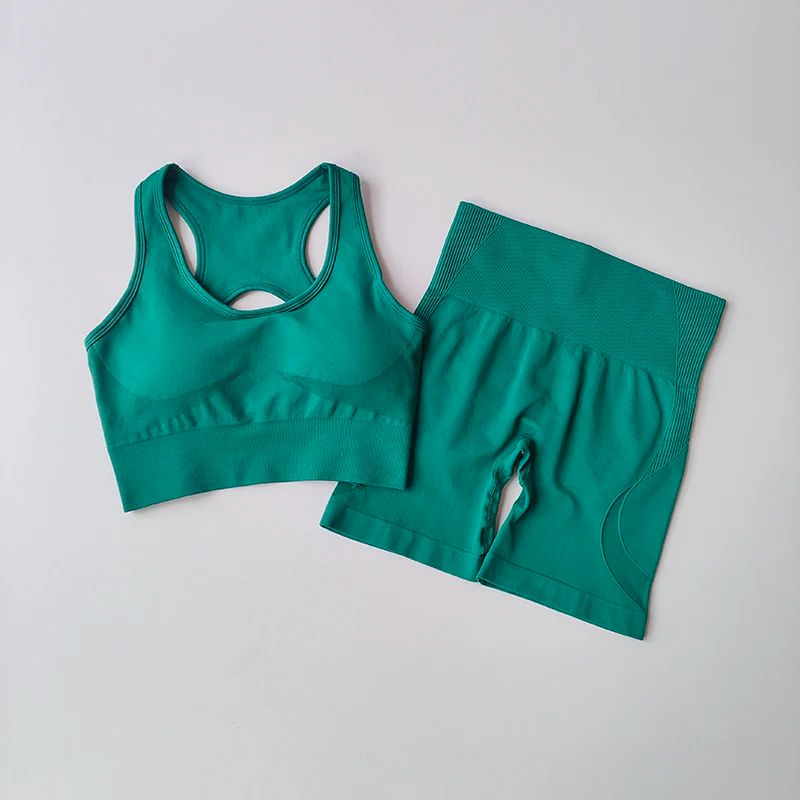 2 PCS/set Women's Seamless Yoga Set Sexy Sport Bra High Waist Sports Shorts Gym Fitness Sleeveless Workout Suit Sporstwear Yoga Suit for Women Seamless Fitness Gym Clothes Halter Sports Bra Matching