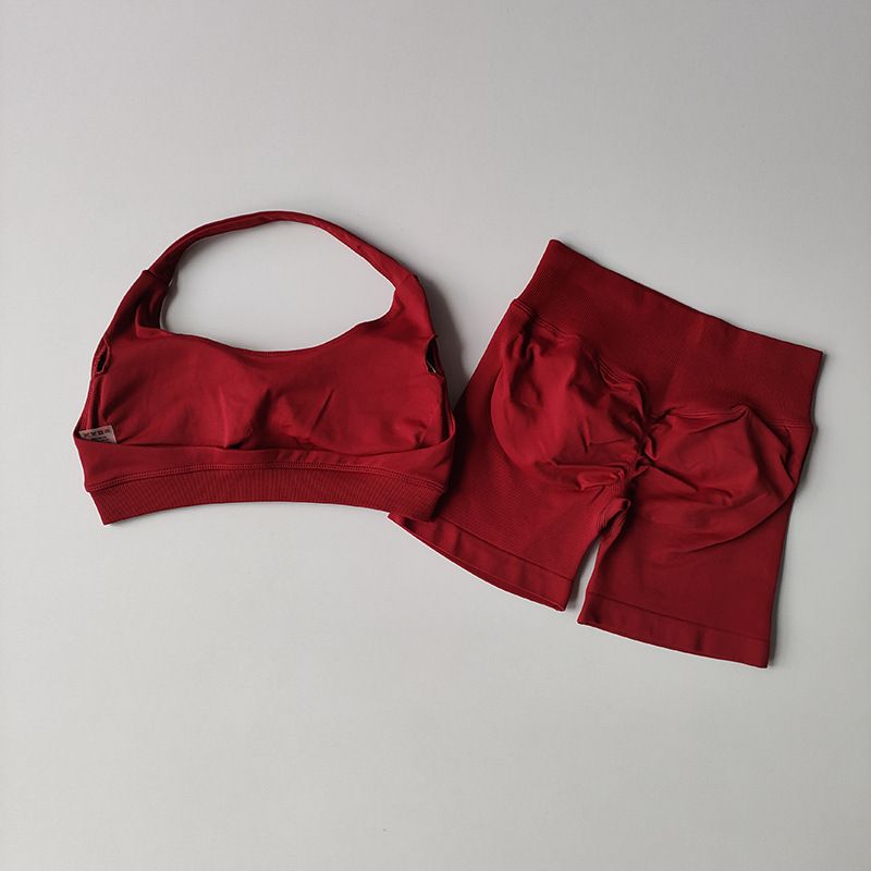 2 Pieces Yoga Suit for Women Seamless Fitness Gym Clothes Halter Sports Bra Matching Impact Shorts Workout Sets Gym Outfit Women's Seamless Yoga Set Sexy Sport Bra High Waist Sports Shorts Gym Fitness