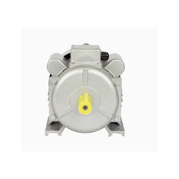 Lexi 2 HP Motor – High-Performance Electric Motor