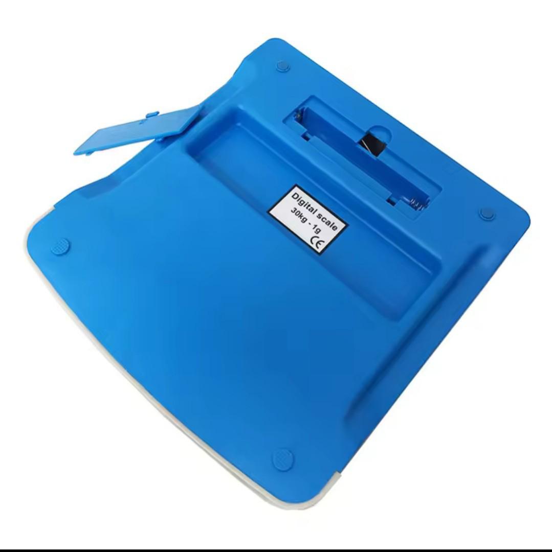DT580 Digital Butchery scale upto 30 Kgs Battery / charger price computing weighing machine kitchen digital measuring scale