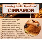 Organic Cinnamon Powder 100g