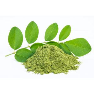Organic Moringa Powder 100g
