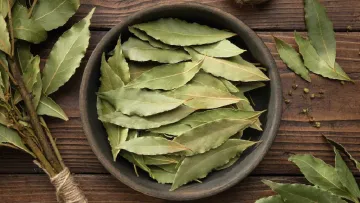 Bay Leaves 100g