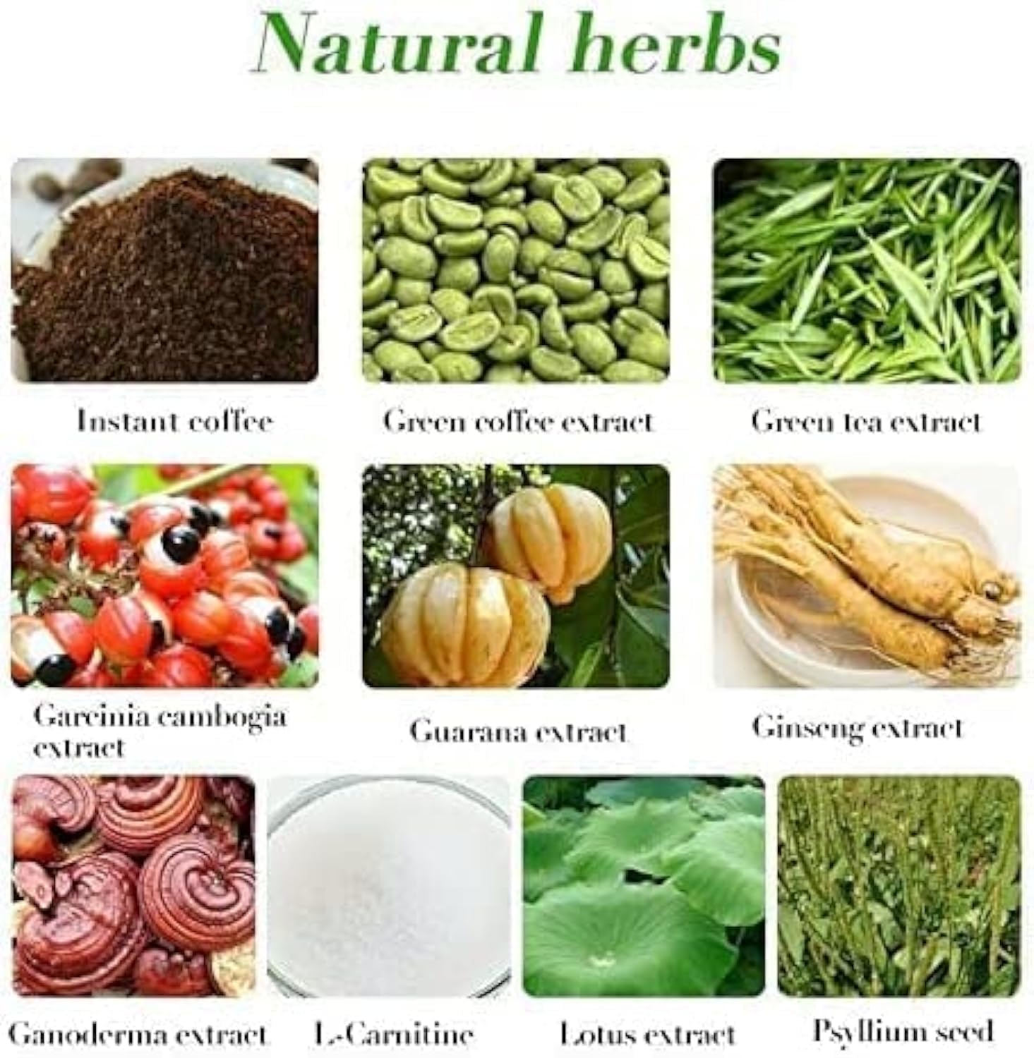 28 Day - Flat Tummy Tea Herbal Slim Detox Weight Loss Slimming Lose Fat Fast Green Coffee