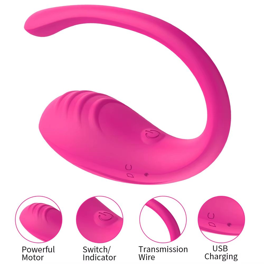 APP Remote Control Vaginal Vibrator 9 Speed G-Spot Stimulator Wearable Anal Massager Vibrating Egg Clitoral Stimulator Female Panties Adult Sex Toys - image 6