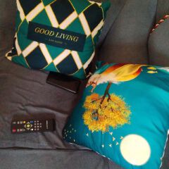Johari 1Pcs New Style Digital Printing Throw Pillows And Cover Case Luxury Painted Geometric Cushion (ASSORTED)