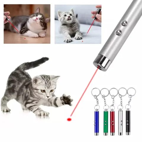 CATS/ DOGS TOY TRAINING LASER PEN FLASHLIGHT KEYCHAIN 3 IN 1